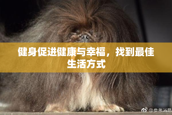 健身促进健康与幸福，找到最佳生活方式