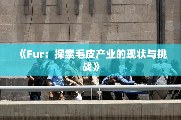 《Fur：探索毛皮产业的现状与挑战》