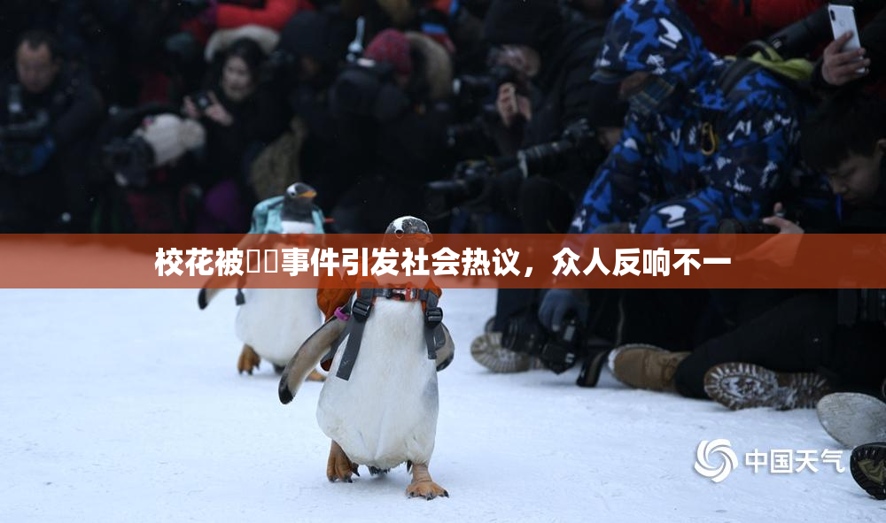 校花被❌‌事件引发社会热议，众人反响不一