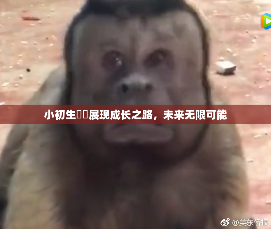 小初生❌‌展现成长之路，未来无限可能
