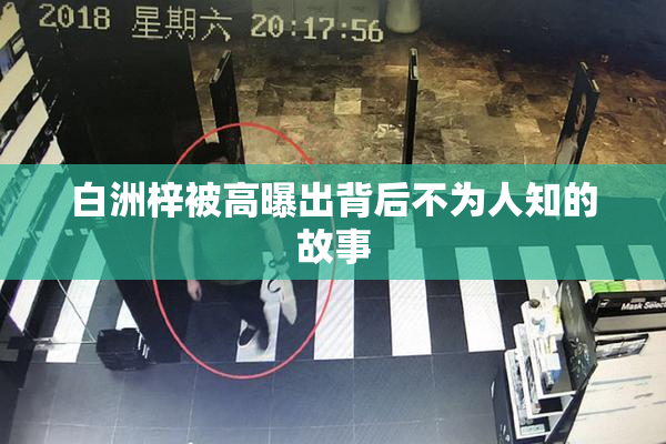 白洲梓被高曝出背后不为人知的故事