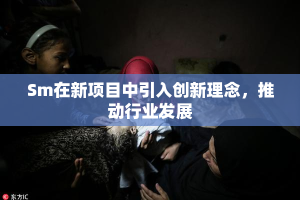 Sm在新项目中引入创新理念，推动行业发展