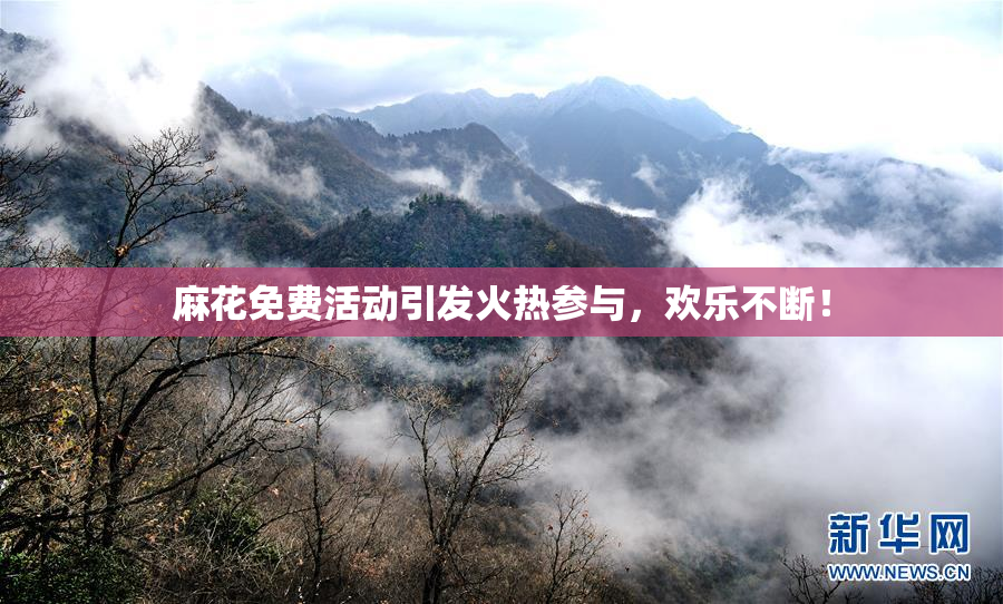 麻花免费活动引发火热参与，欢乐不断！