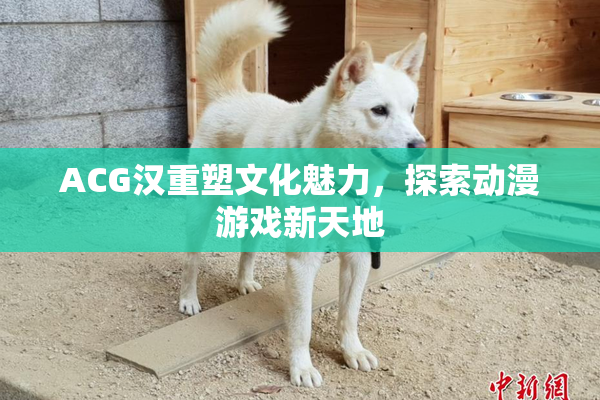 ACG汉重塑文化魅力，探索动漫游戏新天地