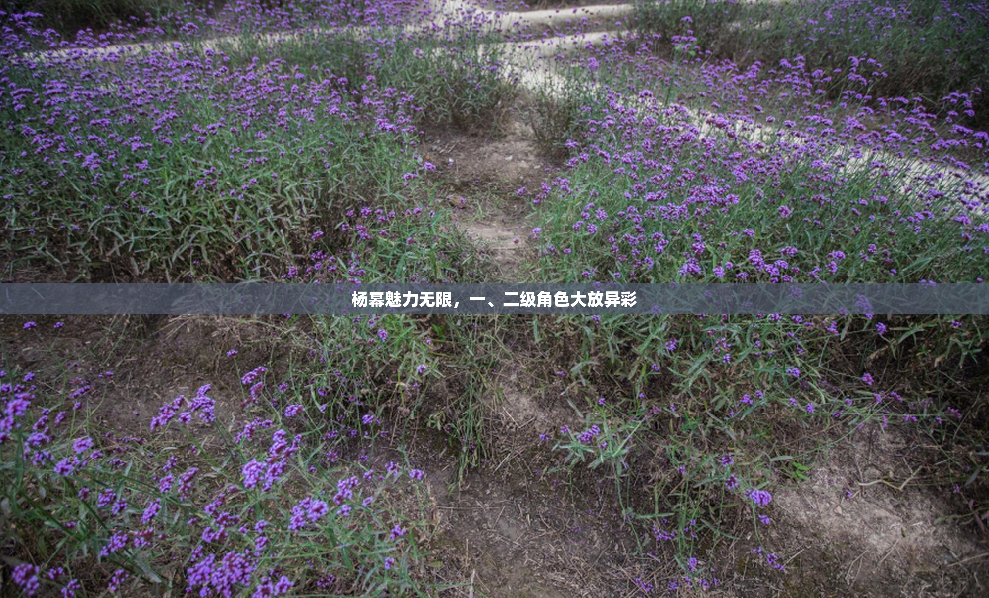 杨幂魅力无限，一、二级角色大放异彩