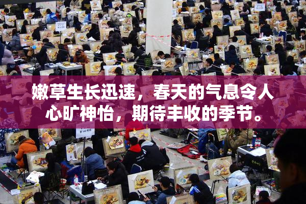 嫩草生长迅速，春天的气息令人心旷神怡，期待丰收的季节。
