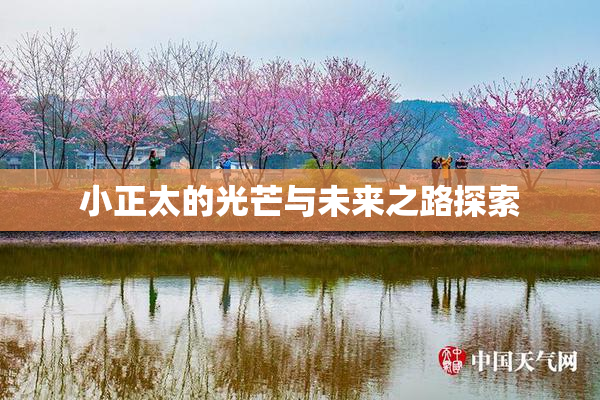 小正太的光芒与未来之路探索