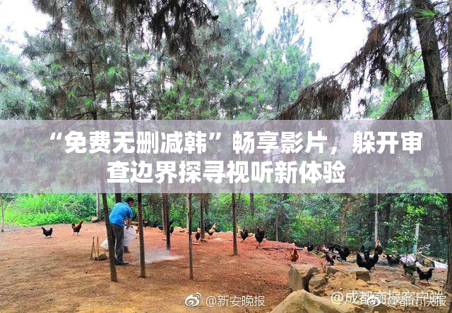 “免费无删减韩”畅享影片，躲开审查边界探寻视听新体验