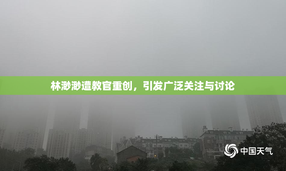 林渺渺遭教官重创，引发广泛关注与讨论