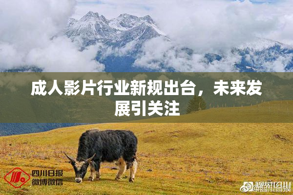 成人影片行业新规出台，未来发展引关注