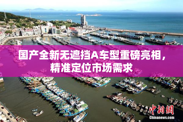国产全新无遮挡A车型重磅亮相，精准定位市场需求