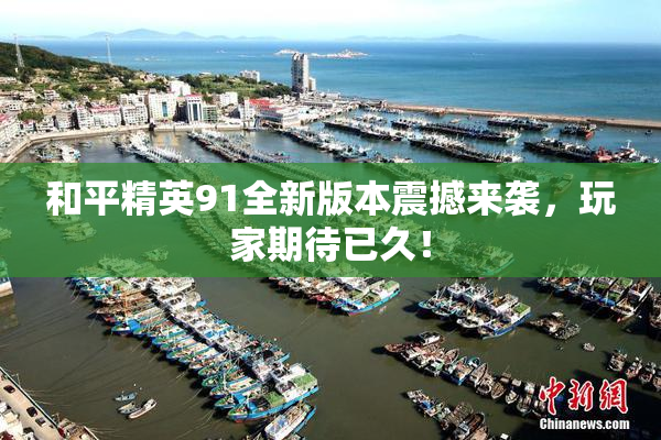 和平精英91全新版本震撼来袭，玩家期待已久！