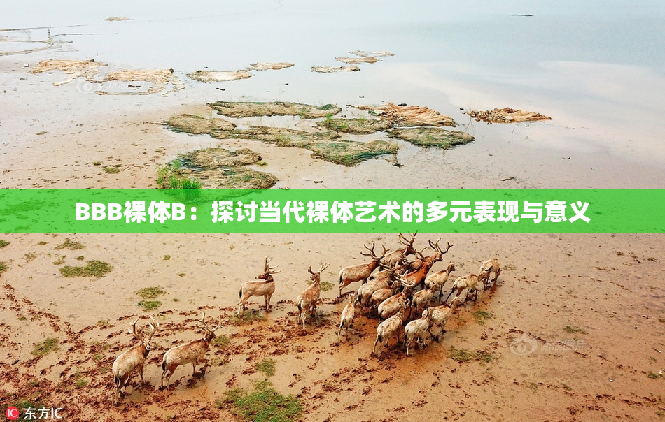 BBB裸体B：探讨当代裸体艺术的多元表现与意义