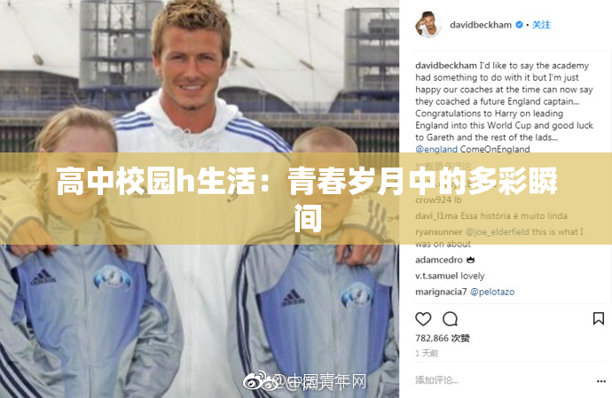 高中校园h生活：青春岁月中的多彩瞬间