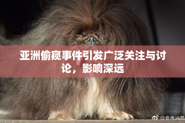 亚洲偷窥事件引发广泛关注与讨论，影响深远