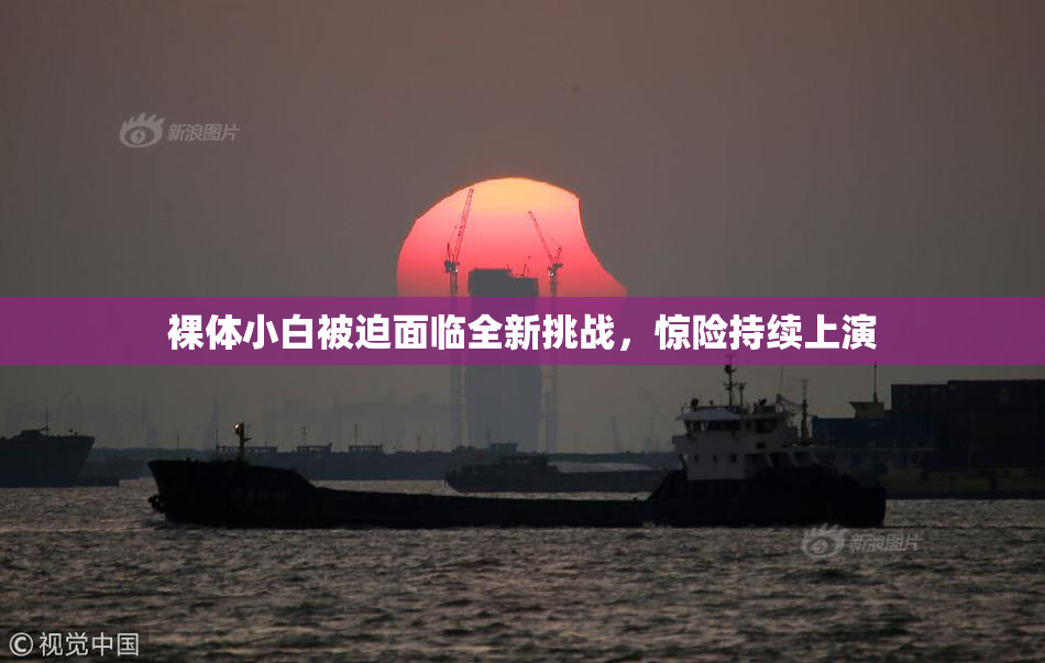 裸体小白被迫面临全新挑战，惊险持续上演