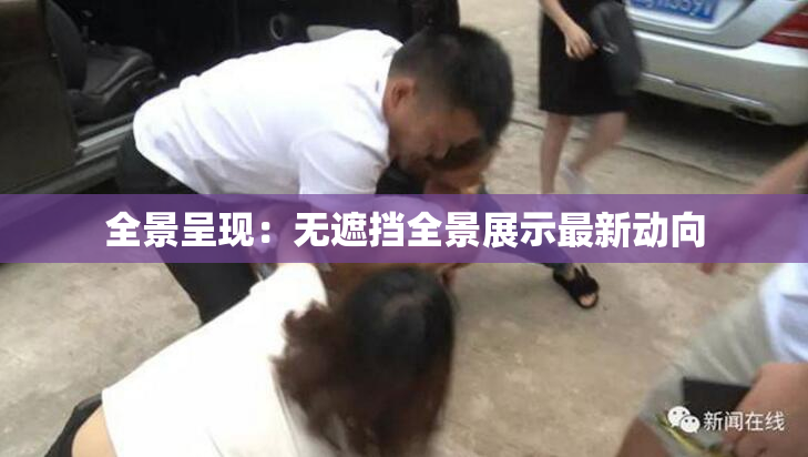 全景呈现：无遮挡全景展示最新动向