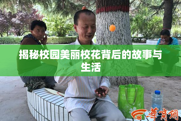 揭秘校园美丽校花背后的故事与生活