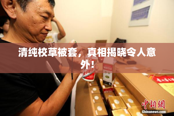 清纯校草被套，真相揭晓令人意外！