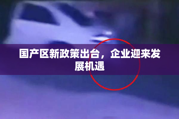 国产区新政策出台，企业迎来发展机遇