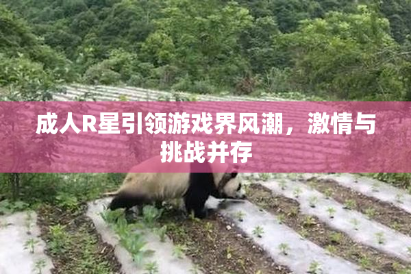成人R星引领游戏界风潮，激情与挑战并存