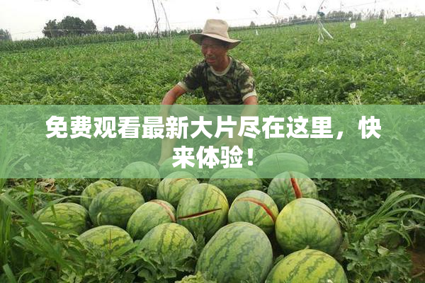 免费观看最新大片尽在这里，快来体验！