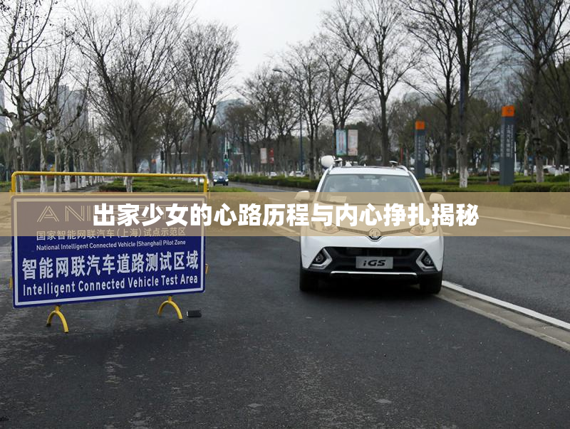 出家少女的心路历程与内心挣扎揭秘