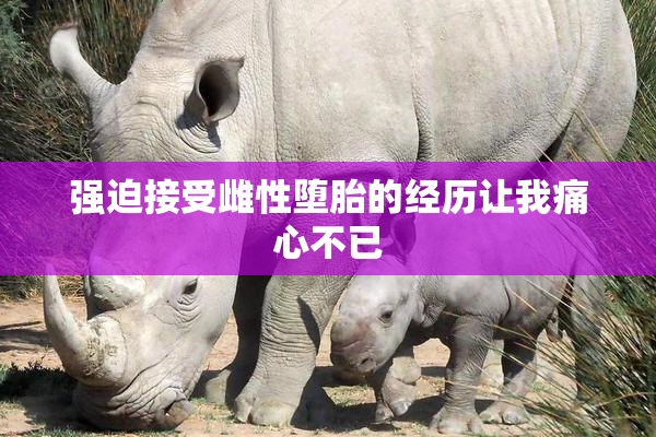 强迫接受雌性堕胎的经历让我痛心不已