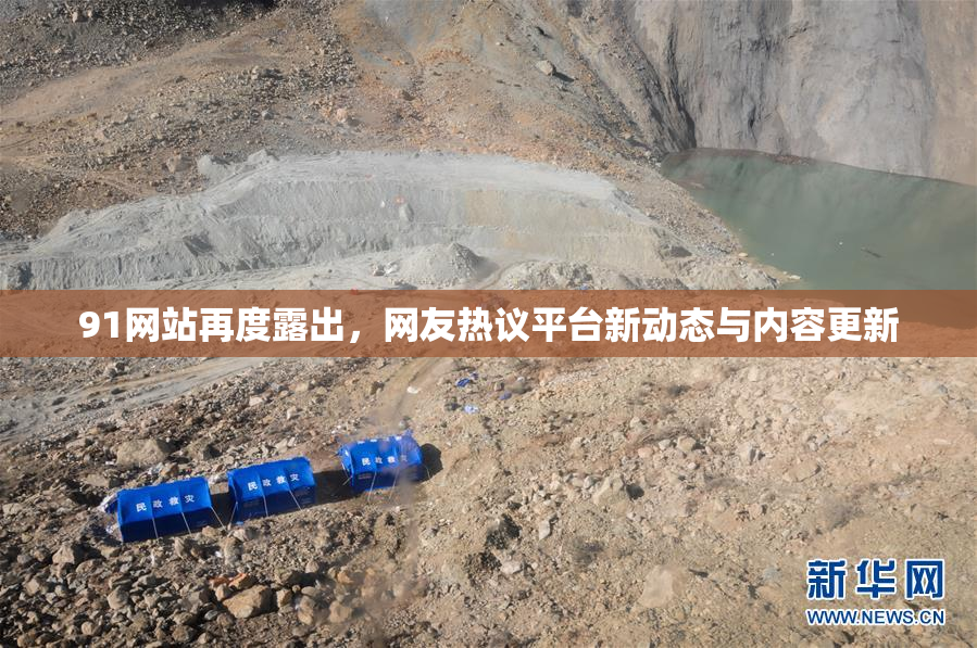 91网站再度露出，网友热议平台新动态与内容更新