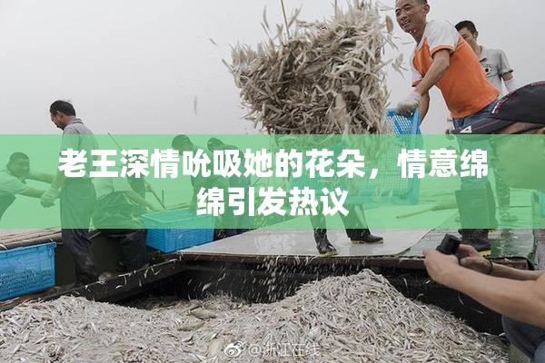 老王深情吮吸她的花朵，情意绵绵引发热议