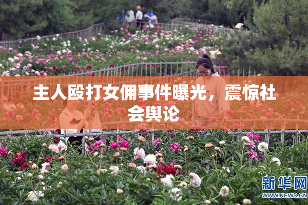 主人殴打女佣事件曝光，震惊社会舆论