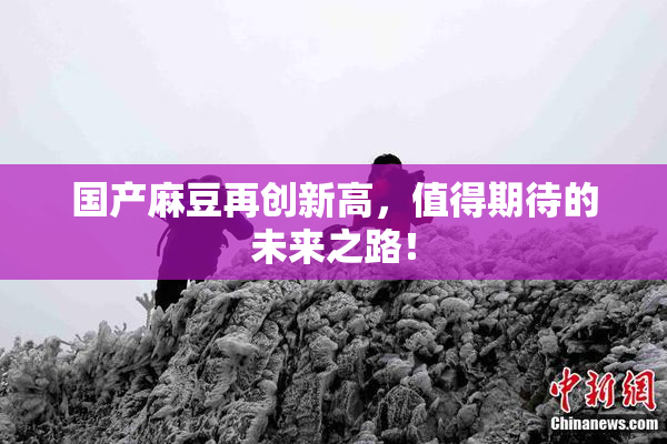 国产麻豆再创新高，值得期待的未来之路！