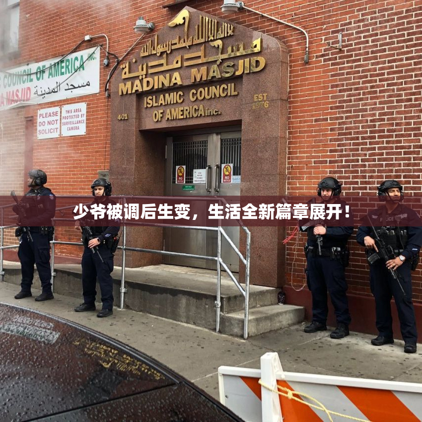 少爷被调后生变，生活全新篇章展开！