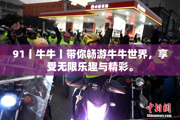 91丨牛牛丨带你畅游牛牛世界，享受无限乐趣与精彩。