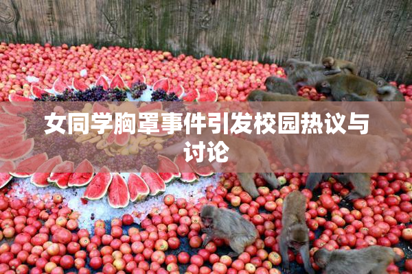 女同学胸罩事件引发校园热议与讨论