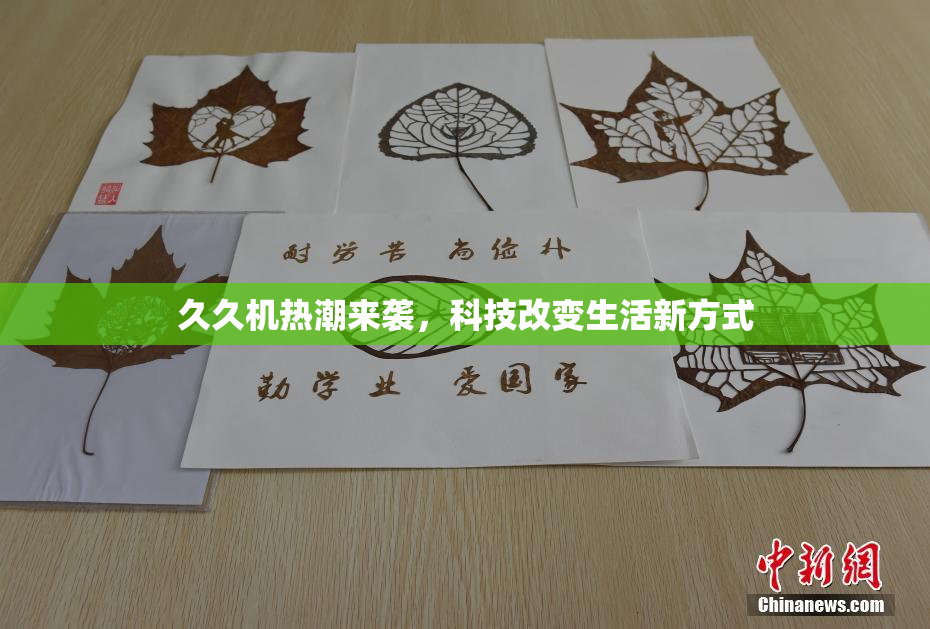 久久机热潮来袭，科技改变生活新方式