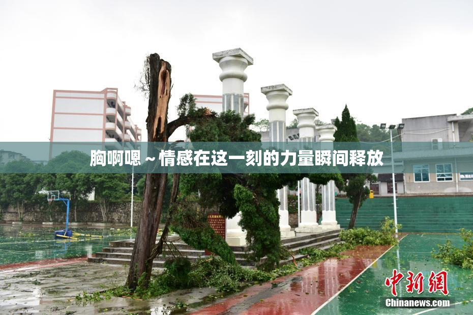 胸啊嗯～情感在这一刻的力量瞬间释放