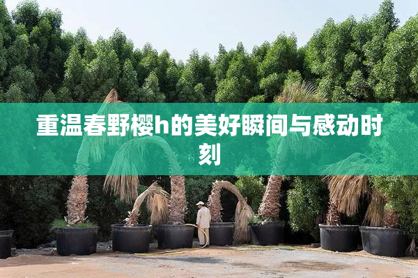 重温春野樱h的美好瞬间与感动时刻