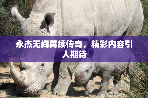 永杰无间再续传奇，精彩内容引人期待