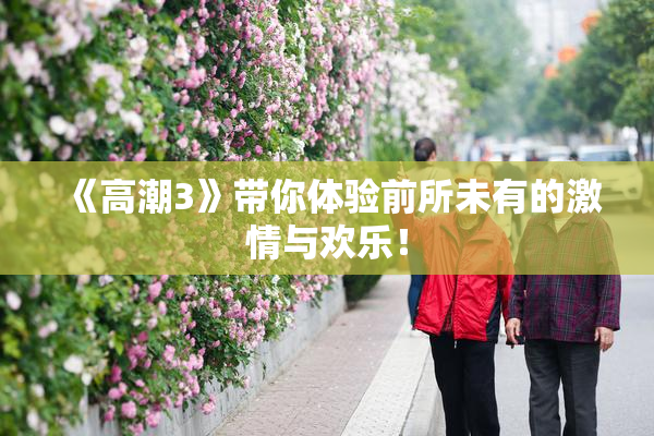 《高潮3》带你体验前所未有的激情与欢乐！