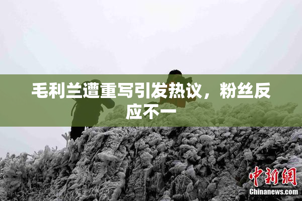 毛利兰遭重写引发热议，粉丝反应不一