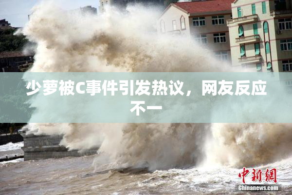 少萝被C事件引发热议，网友反应不一