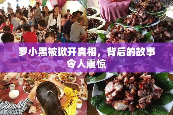 罗小黑被掀开真相，背后的故事令人震惊