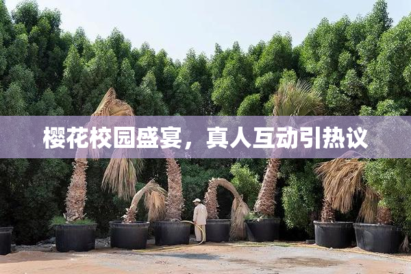 樱花校园盛宴，真人互动引热议