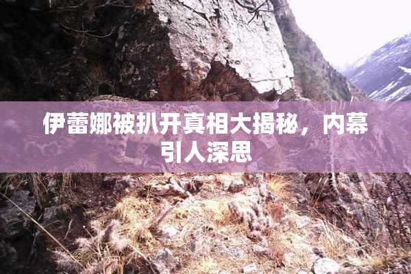 伊蕾娜被扒开真相大揭秘，内幕引人深思