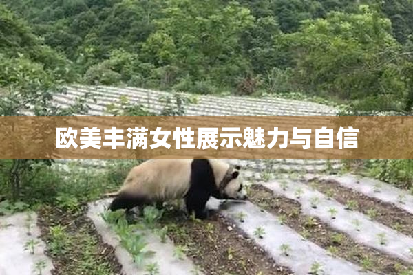 欧美丰满女性展示魅力与自信