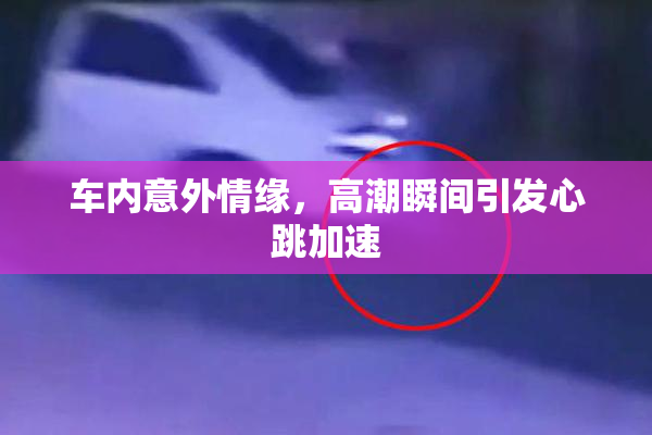 车内意外情缘，高潮瞬间引发心跳加速