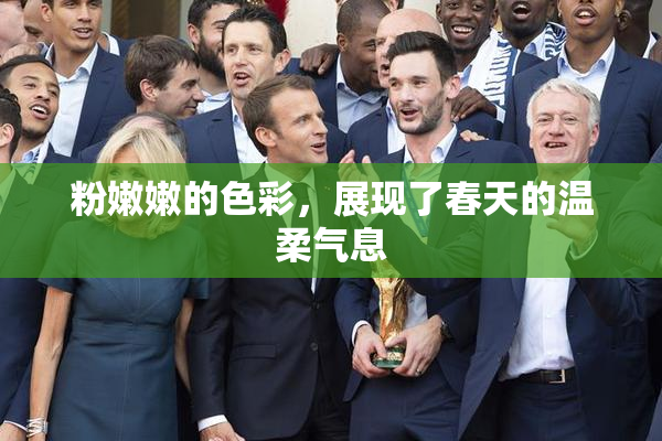 粉嫩嫩的色彩，展现了春天的温柔气息