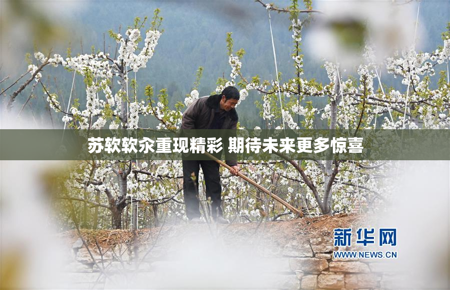 苏软软汆重现精彩 期待未来更多惊喜