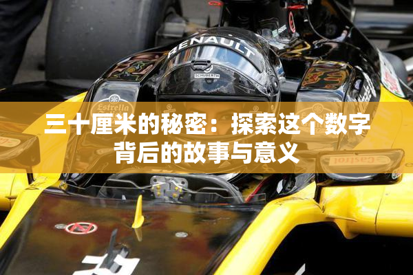 三十厘米的秘密：探索这个数字背后的故事与意义